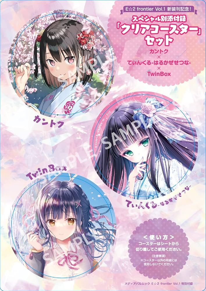 Amazon.co.jp: E☆2(えつ) frontier Vol.1 (メディアパルムック) : 本